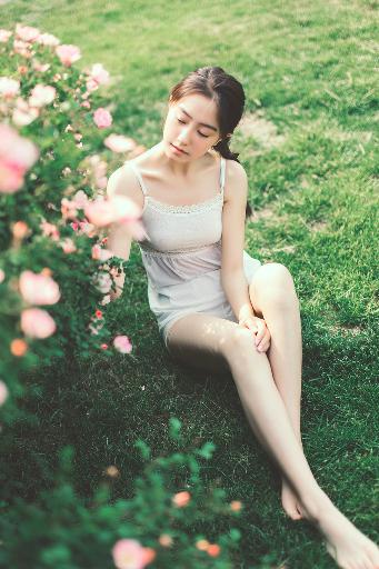 黄雀电视剧全集免费观看高清版